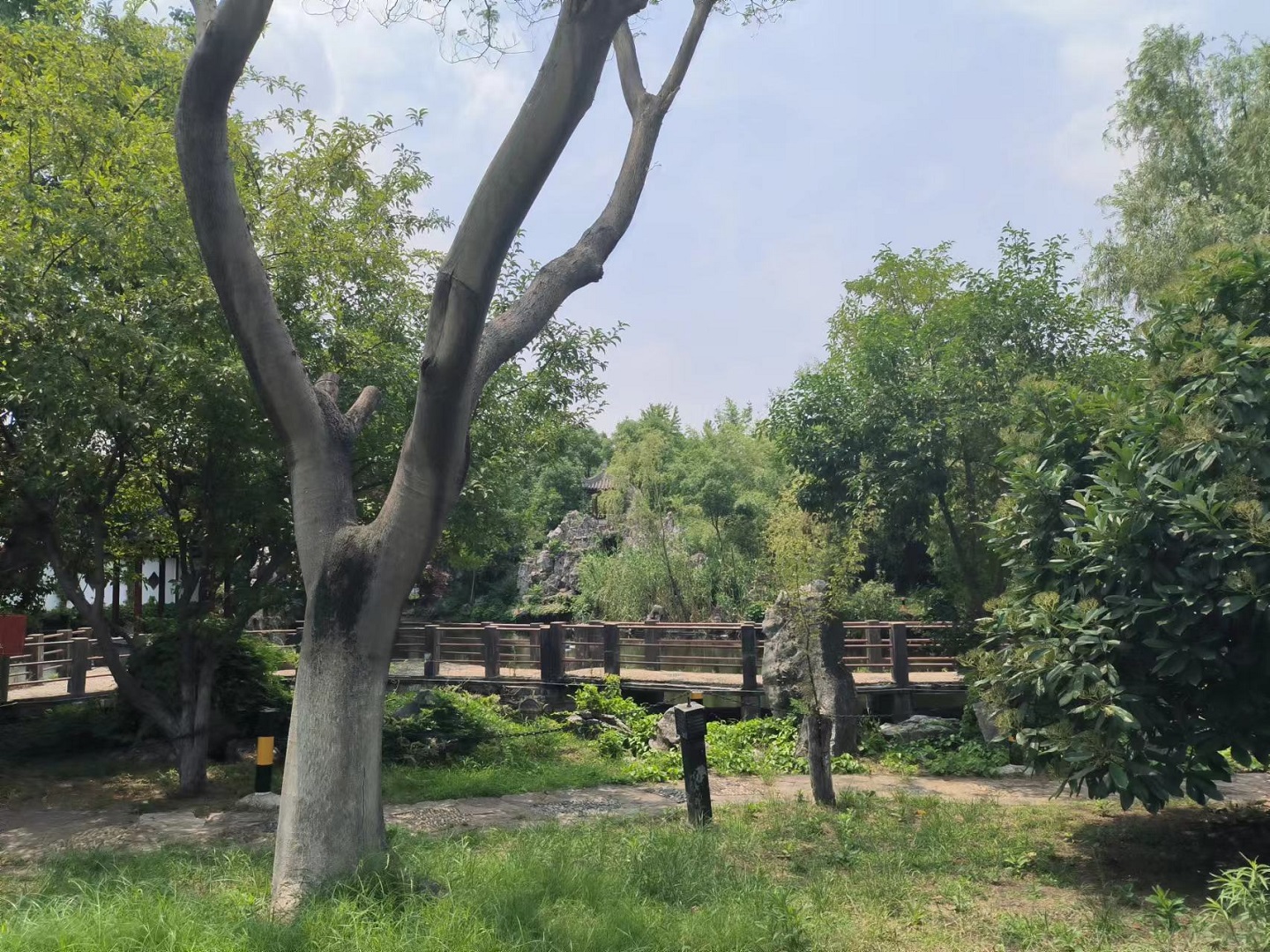 1686709577535123.jpg 某園林資產(chǎn)價值評估.jpg